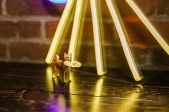 使用Ledger硬件钱包安装TronLink波宝钱包收发波场TRX币教程